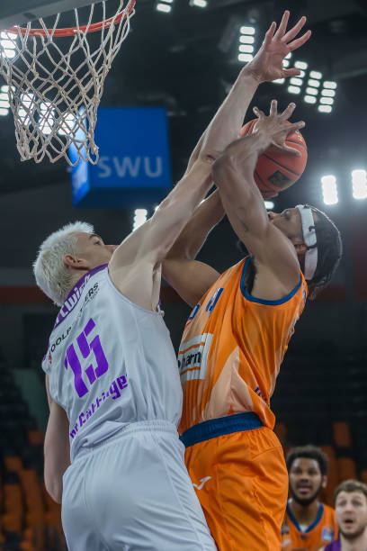 铩羽而归 铩羽而归