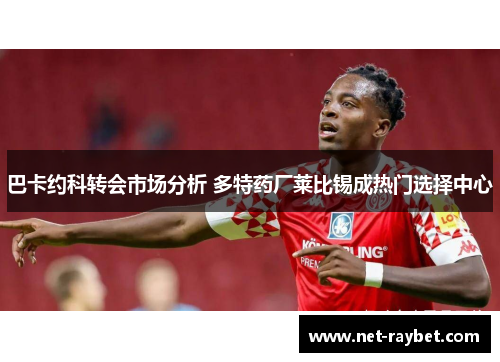 巴卡约科转会市场分析 多特药厂莱比锡成热门选择中心