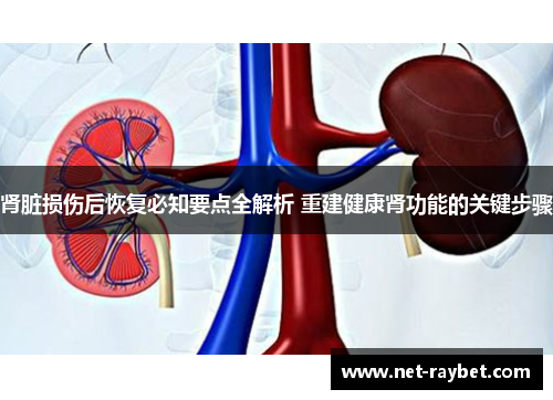 肾脏损伤后恢复必知要点全解析 重建健康肾功能的关键步骤