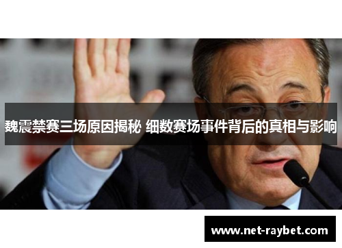 魏震禁赛三场原因揭秘 细数赛场事件背后的真相与影响