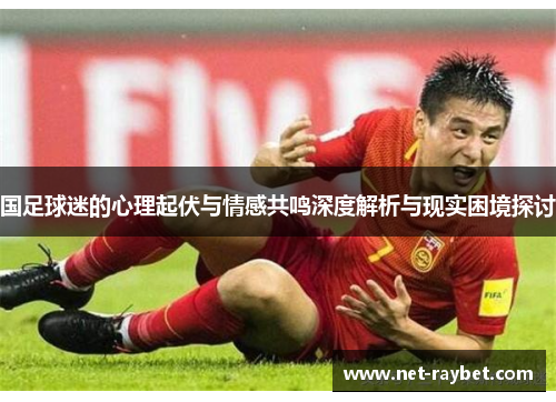 国足球迷的心理起伏与情感共鸣深度解析与现实困境探讨